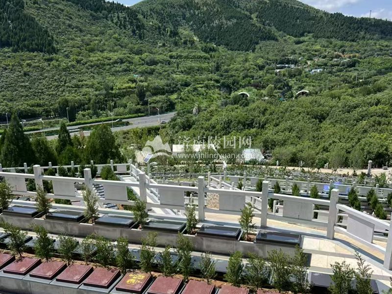 对于长期无人祭扫的墓地，济南公墓将采取怎样的处理和维护措施？